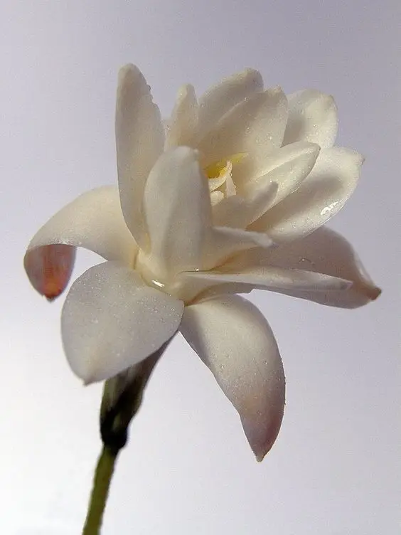 Welcome_to_paradise의 나에게 의지해