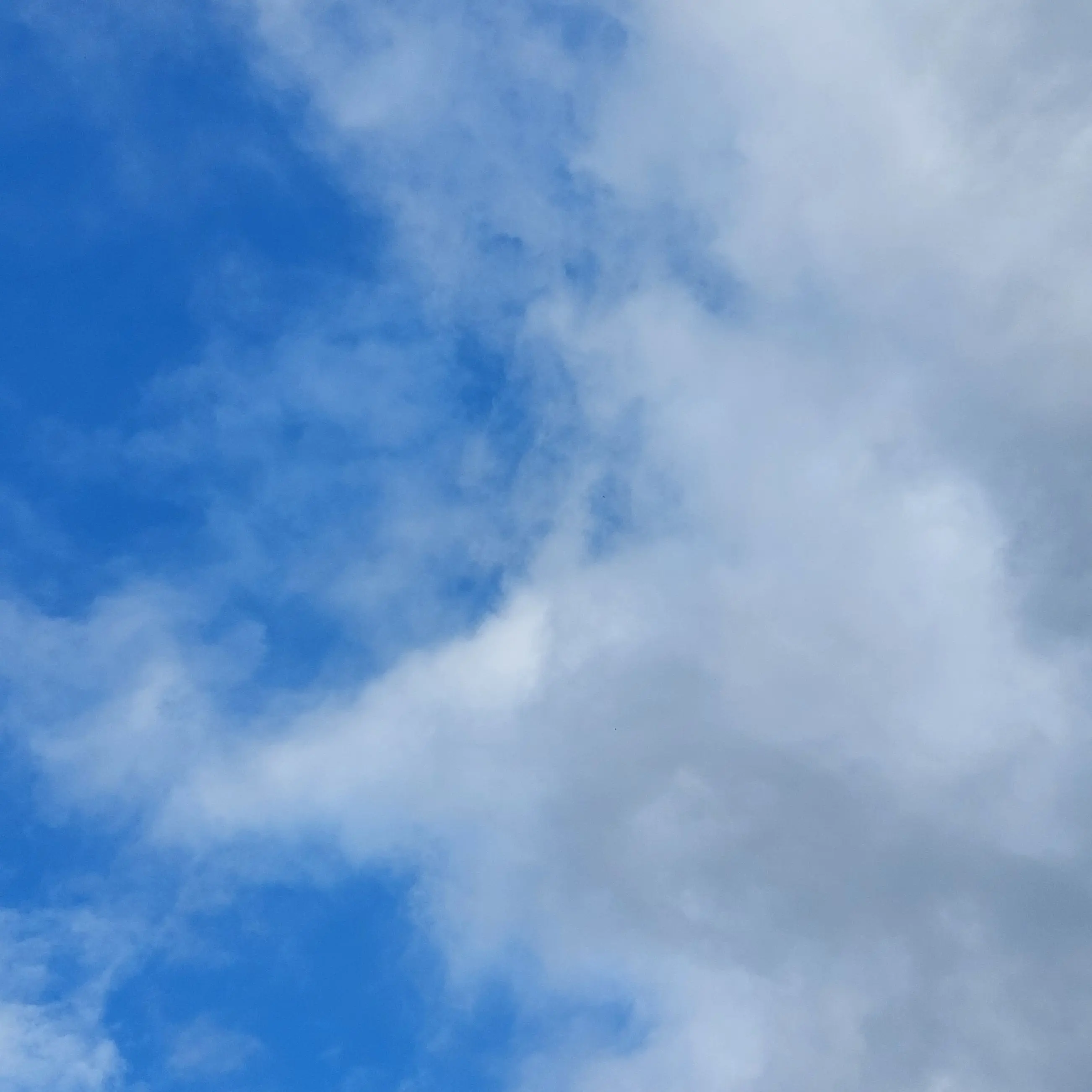 BlandQuoll6213의 "..다들 나한테 왜그래..?"