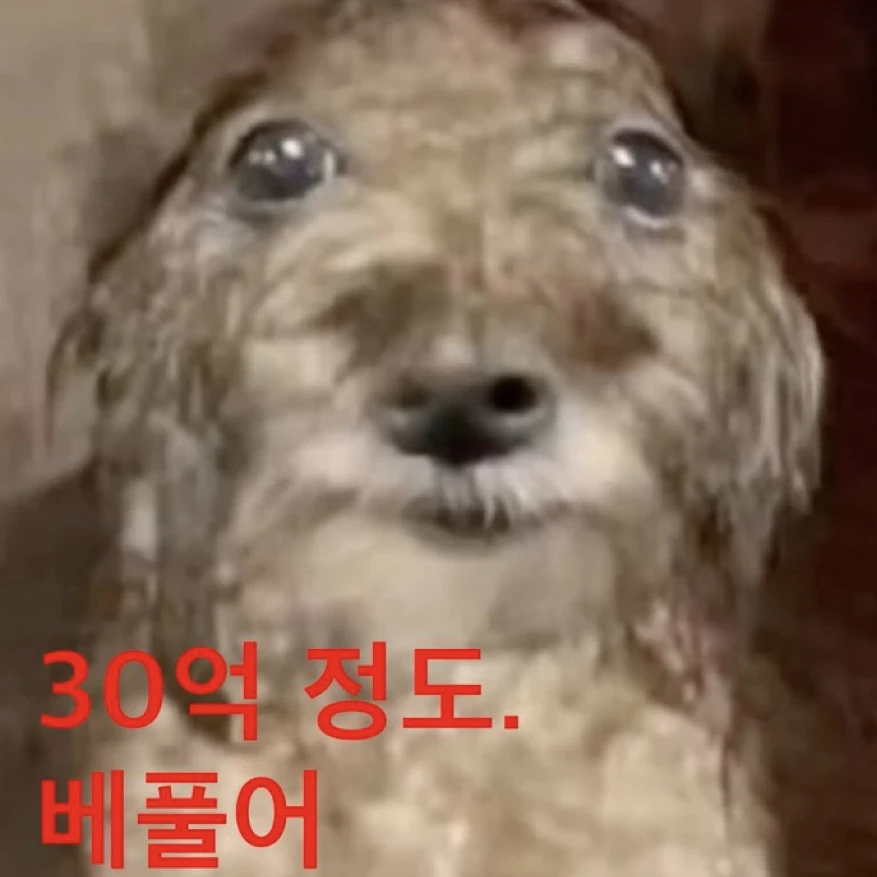 꿻쮉쀐쏽뛝이
