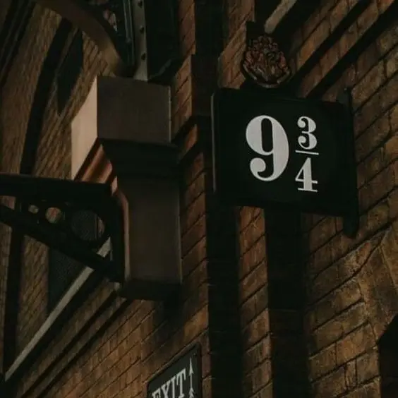 Movie_is_my_life_의 교수 둘에게 관심 받는다는 것은.