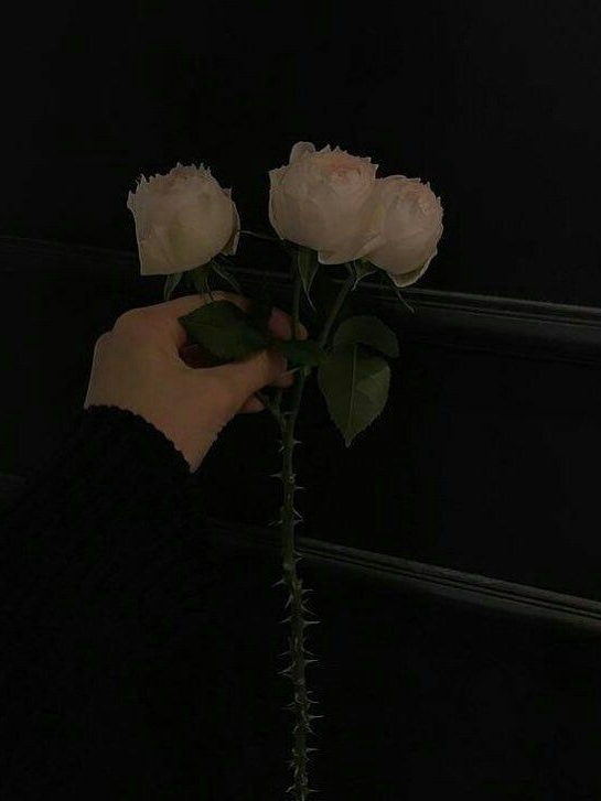 상황이 바꼈다. 대표 이미지