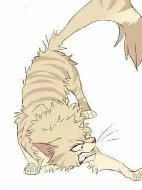 MutedEider3200의 Katsuki Bakugo- Cat