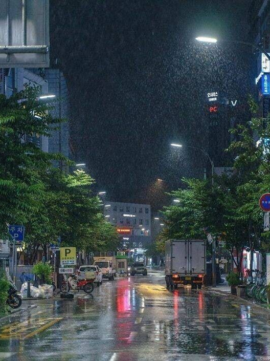 미스터리 수사반 대표 이미지