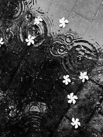 band0609의 0717 & 0302