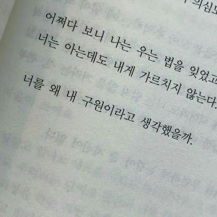 Iamnotailen의 빛의 산란