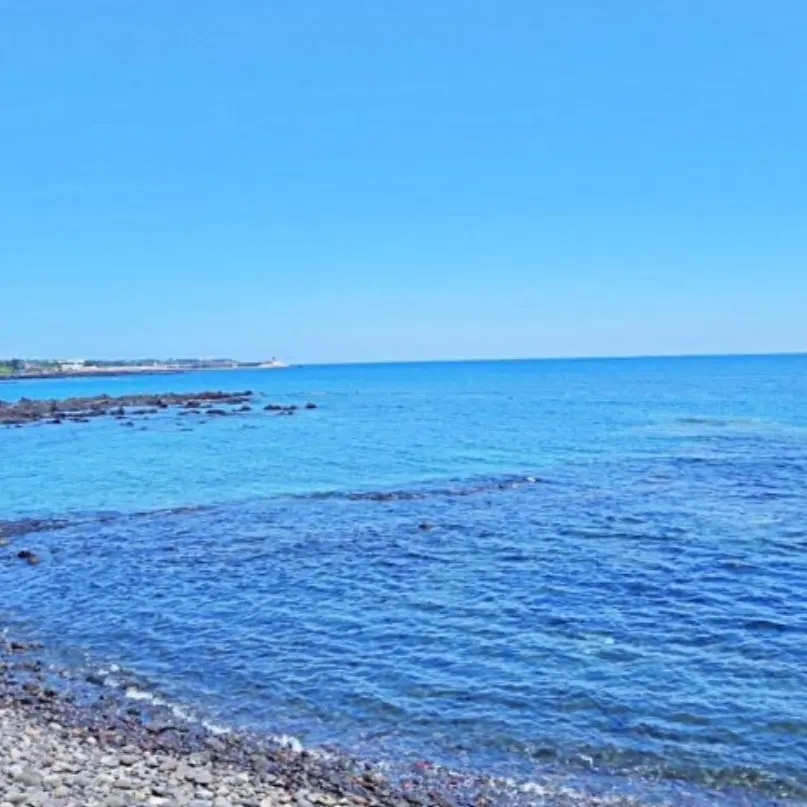 likeoceanfish의 여섯의 괴이들 V2