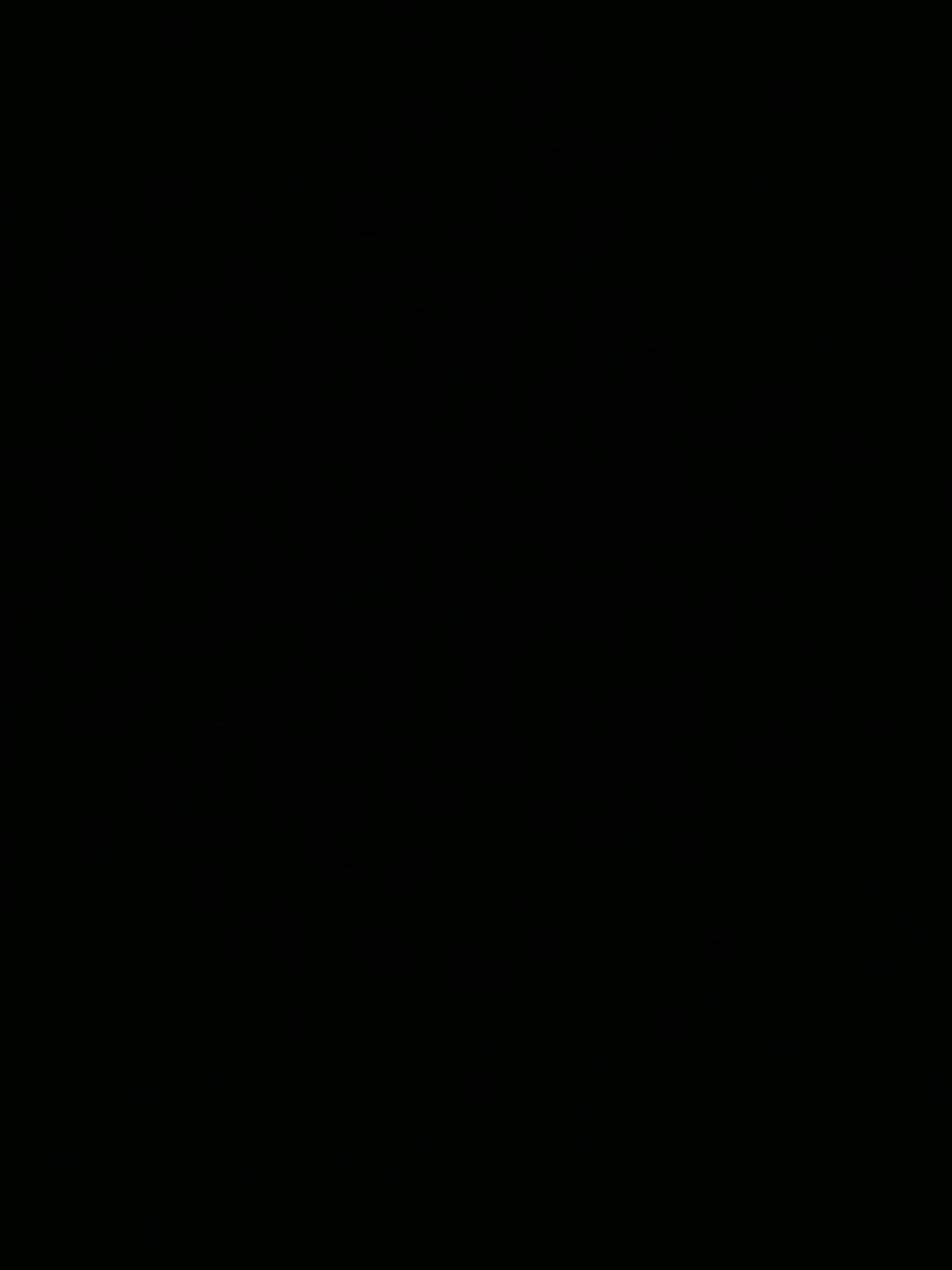 FrostyBatch8571의 KDJ COMPANY