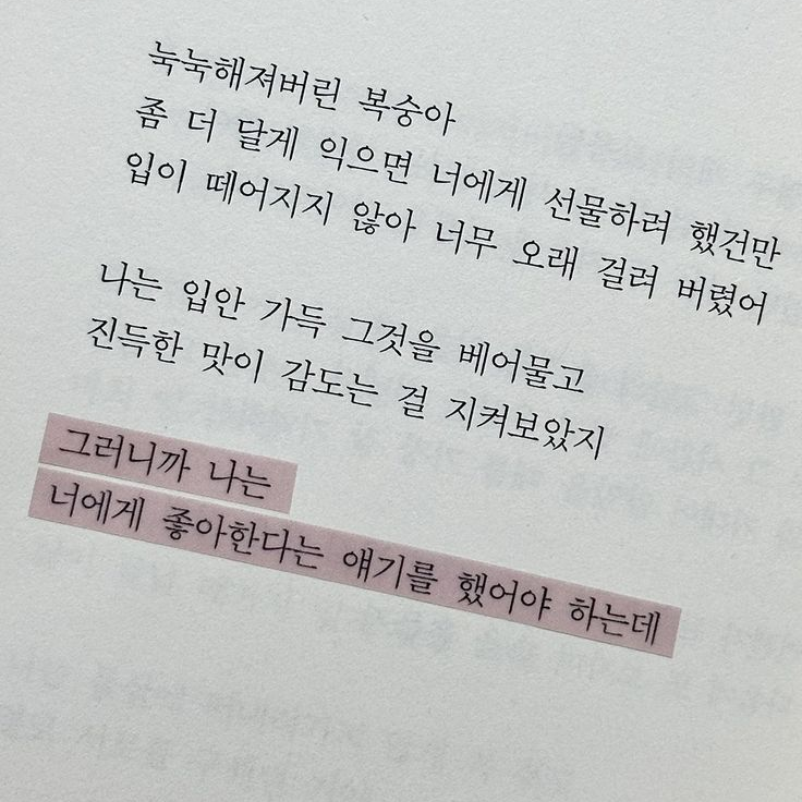 서라더 대표 이미지