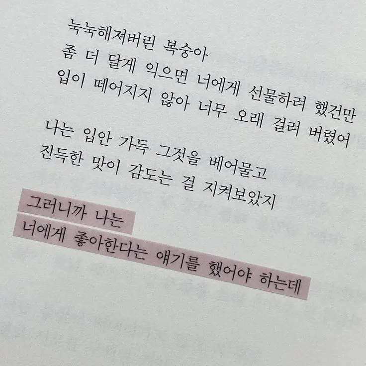 fkejtkfkdgo의 서라더