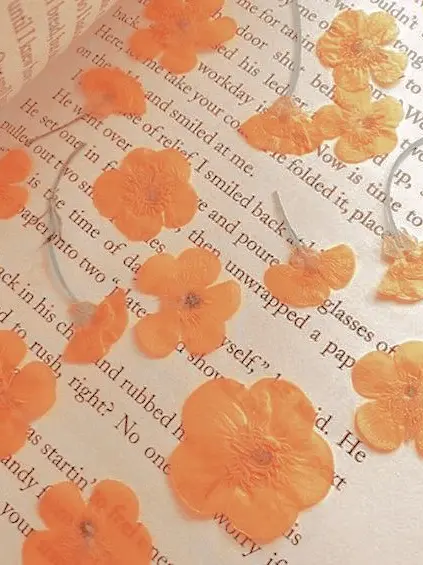 dpxnp의 넘어지다가 입술 박치기