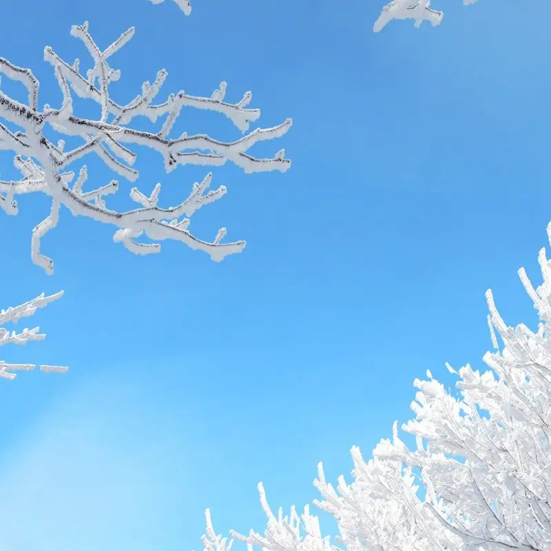 YUJAY_2001.com의 사장과 야구장🍀 (+ 여우, 늑대)