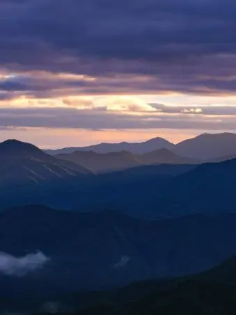 NutmegAnise6104의 헤헤 카와이