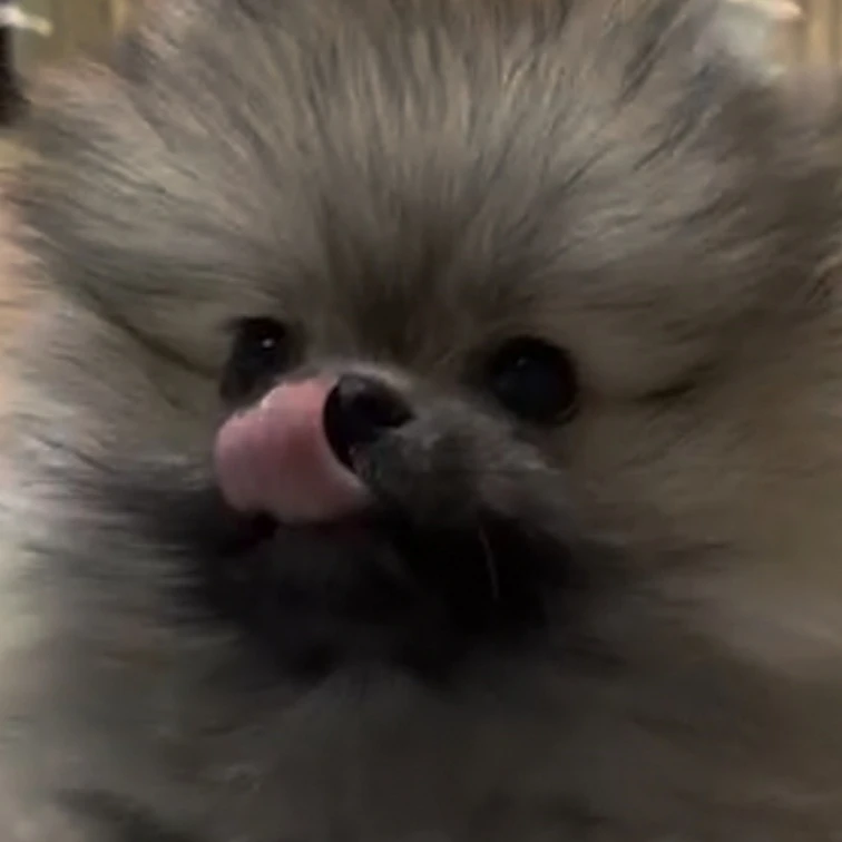 복음이