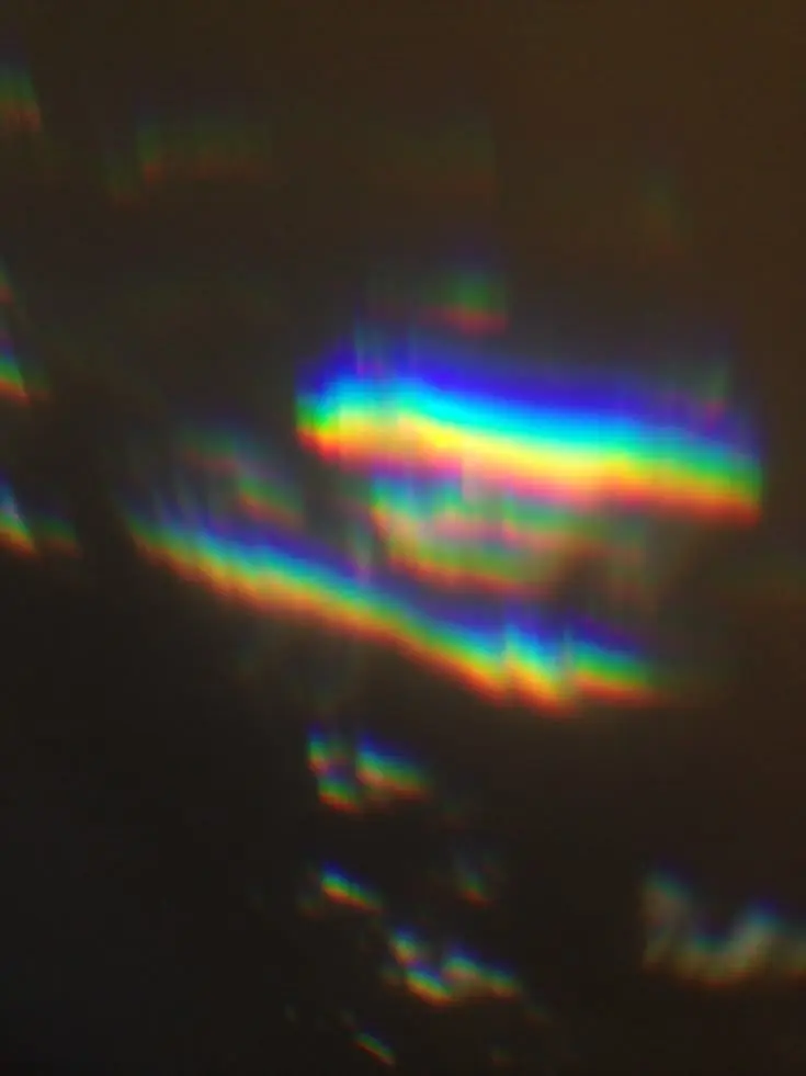 haenjj의 RE:REVOLUTION - 조직