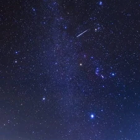 시나리오가 끝난세계.