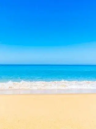 LemonyLoach9791의 고고프렌즈 바다여행