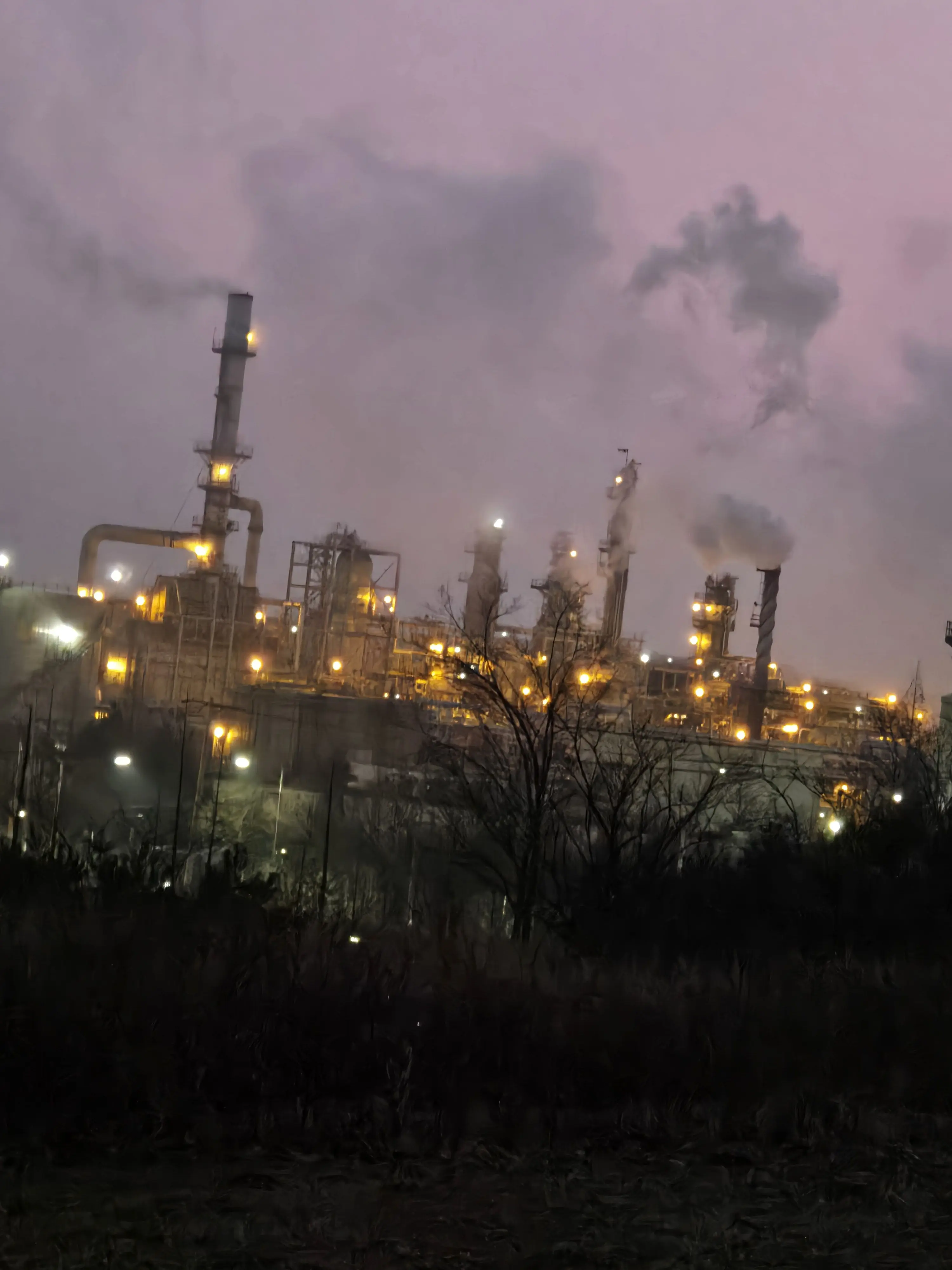 BoredPound7528의 동네 픽도들