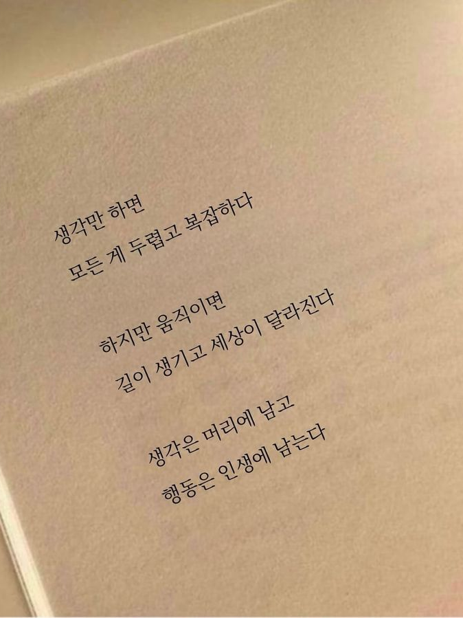박 지 안 대표 이미지