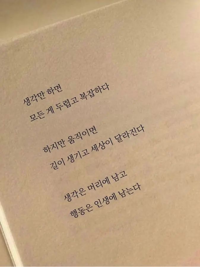 tteokbokkiYar의 박 지 안