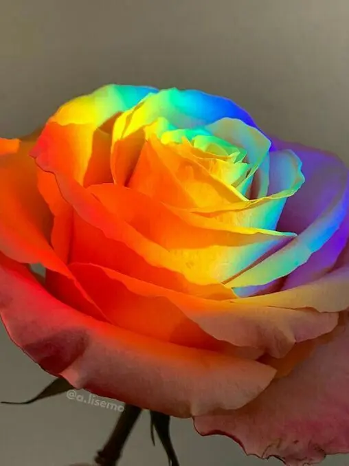 103889OqSA의 초능력 세계여행 ( 덕개님 시점 )