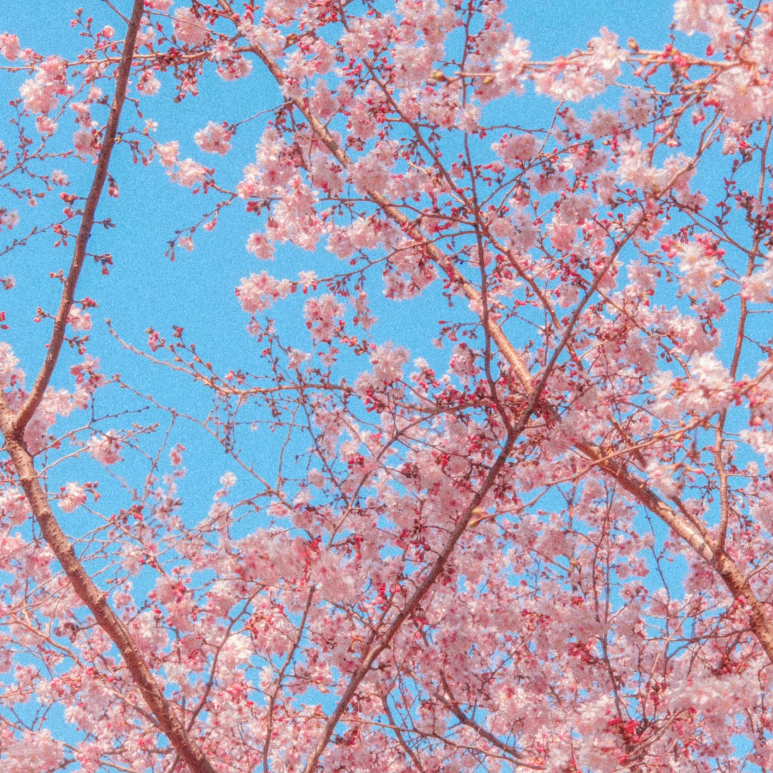 空戎