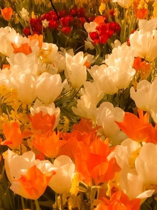 dddddddd1214의 🤐 1214