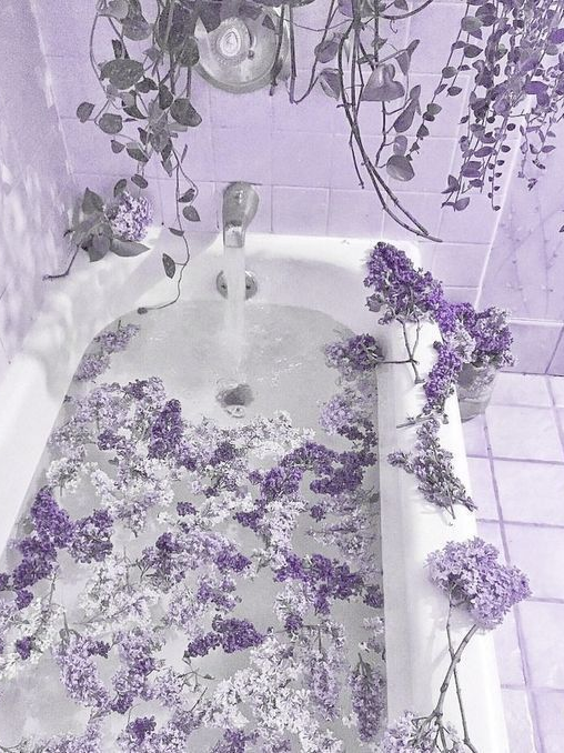 당신은 우유참치입니다. 대표 이미지