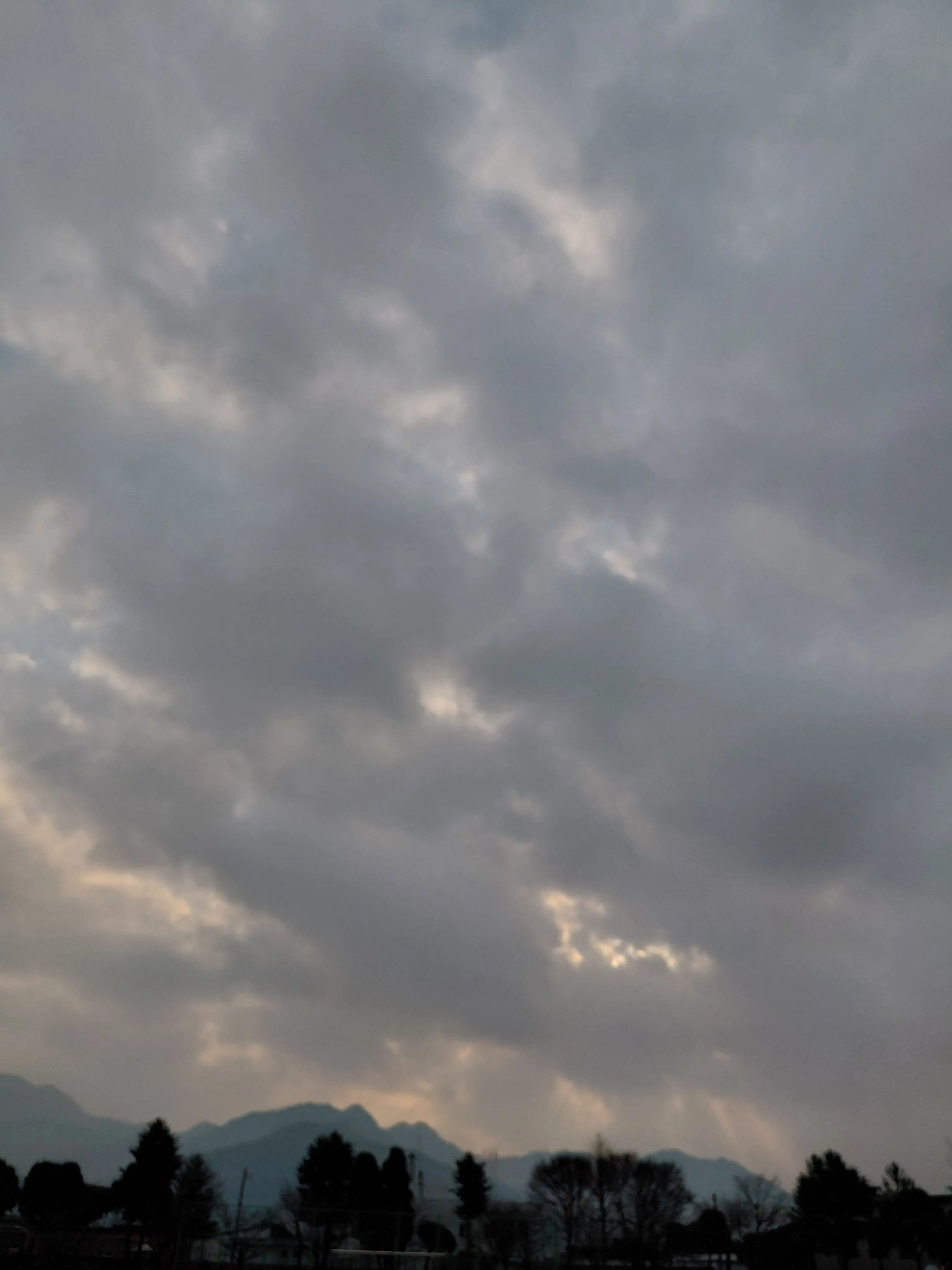 zxcafhsiw의 미친 남자 일곱