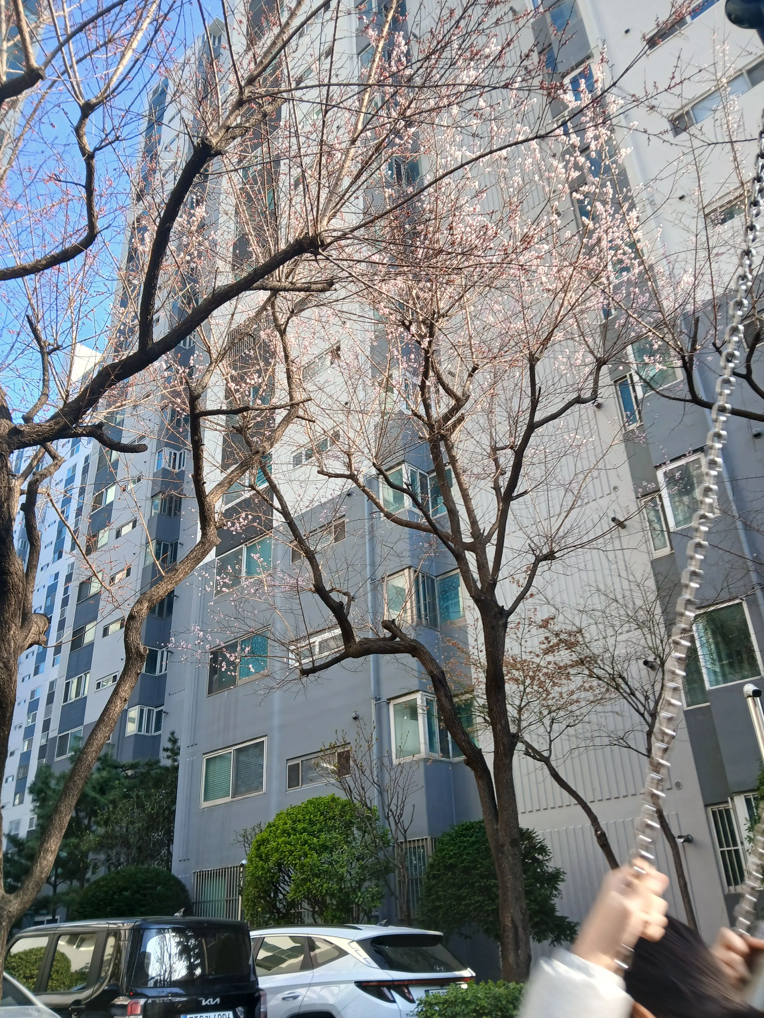 ChubbyWeed2739의 남겨진 막내