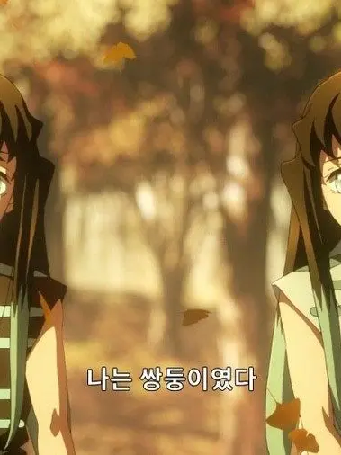 HungryRing1662의 쌍둥이, 싸우다.