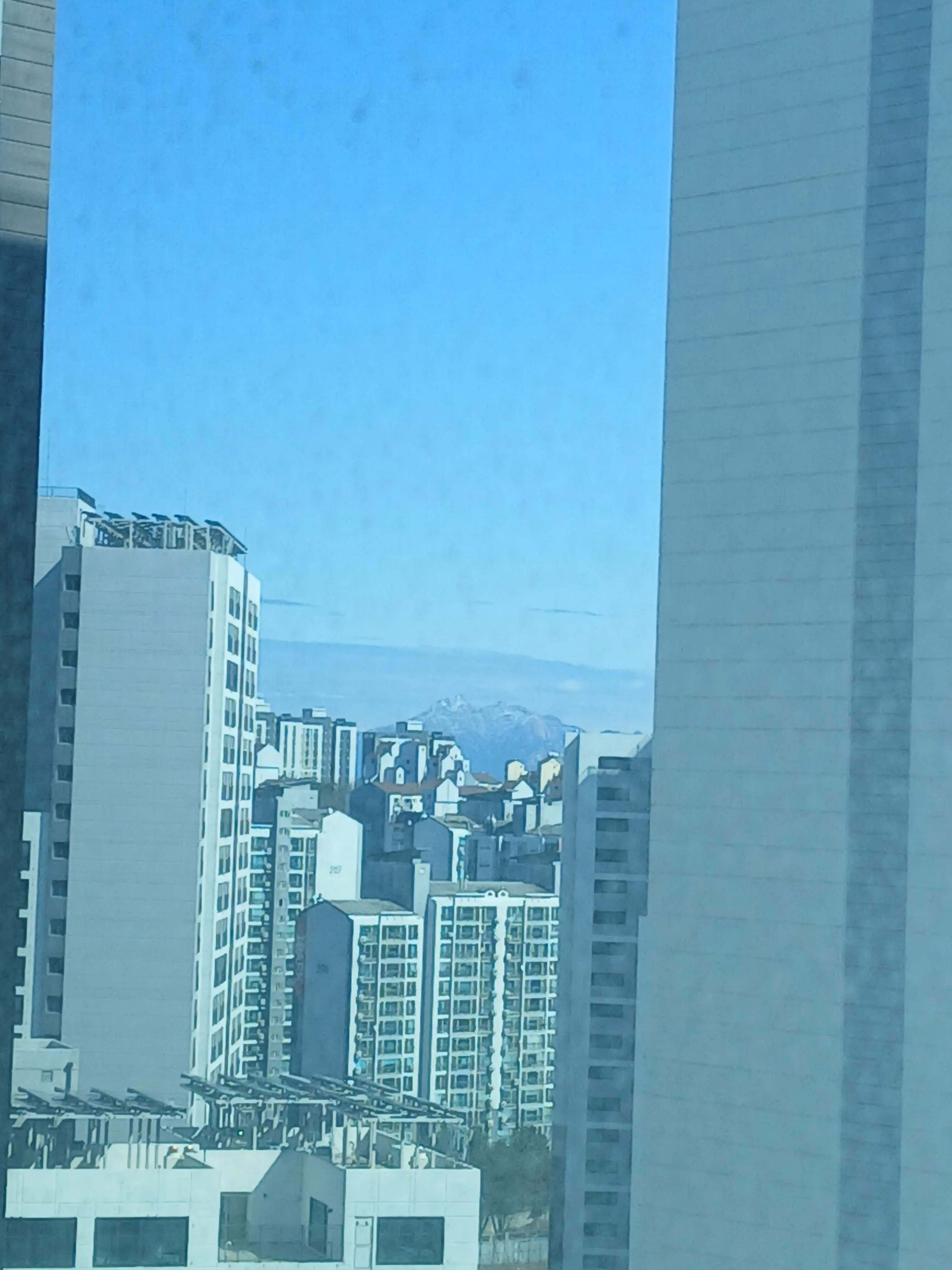 SevereDoor8554의 한 사람의 물건들의 시뮬레이션