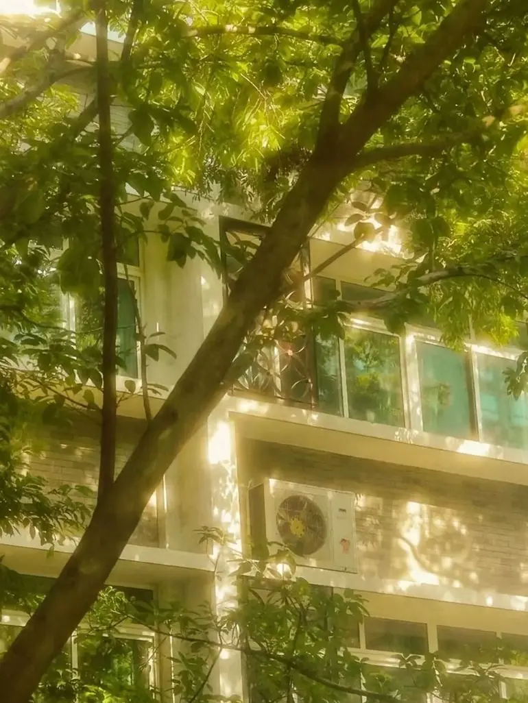 PaltryChart1943의 꿈같이 몽환적인 여름 날