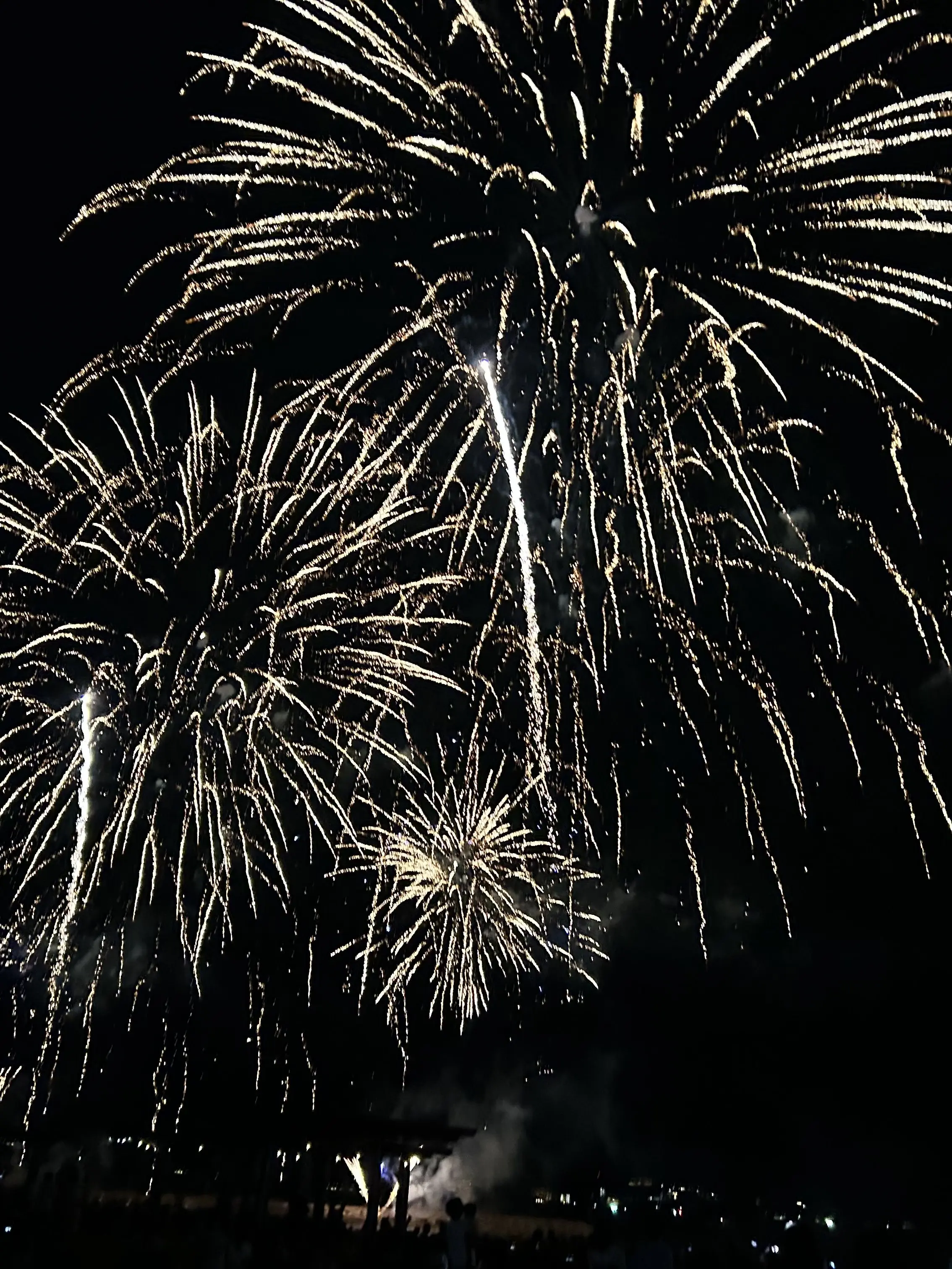 BouncyTray4547의 文スト(サイコパス組？)