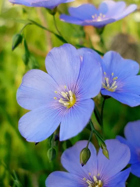 ENFP0514YOON의 리레볼루션 (병)