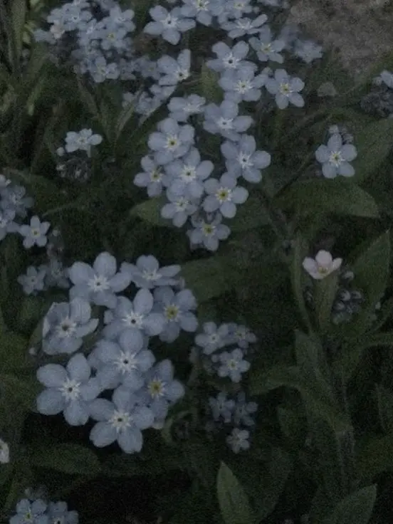 FaintOboe9670의 떠나가지 않았으면 해