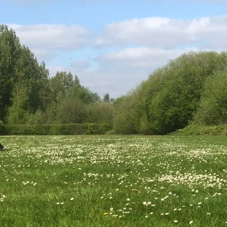 LightMeter7936의 아모네모가 떨어지는날