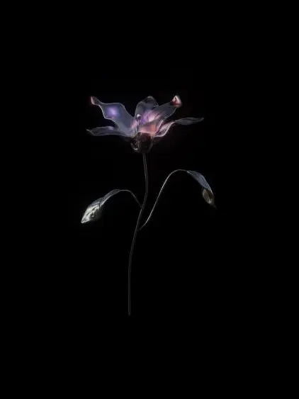 api_pipi2525의 教祖仲間