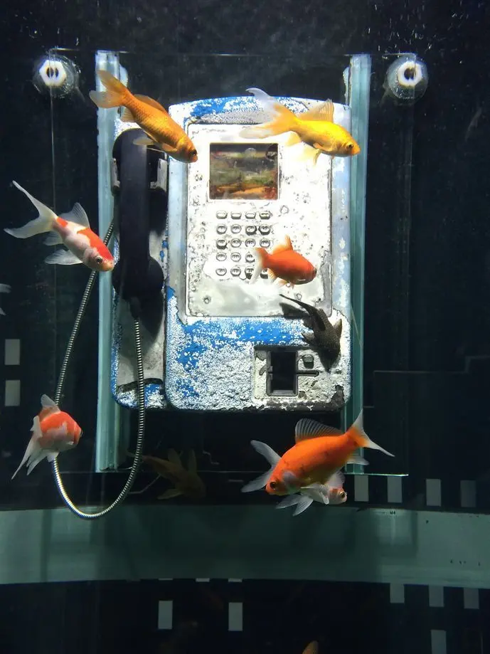 Kxnch0_의 전화부스