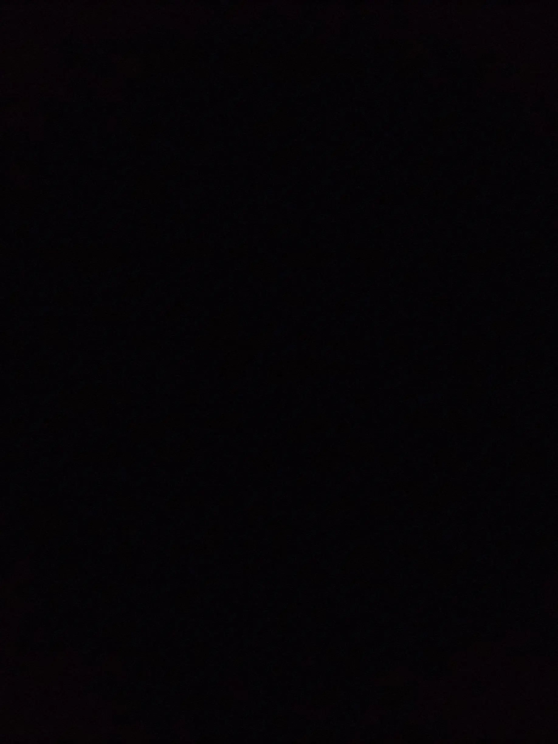 PUK_team.PLV의 (✈️)