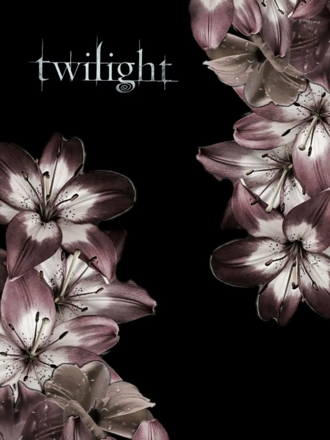 SalemGhost의 ⋆˙⟡Twilight⋆˙⟡