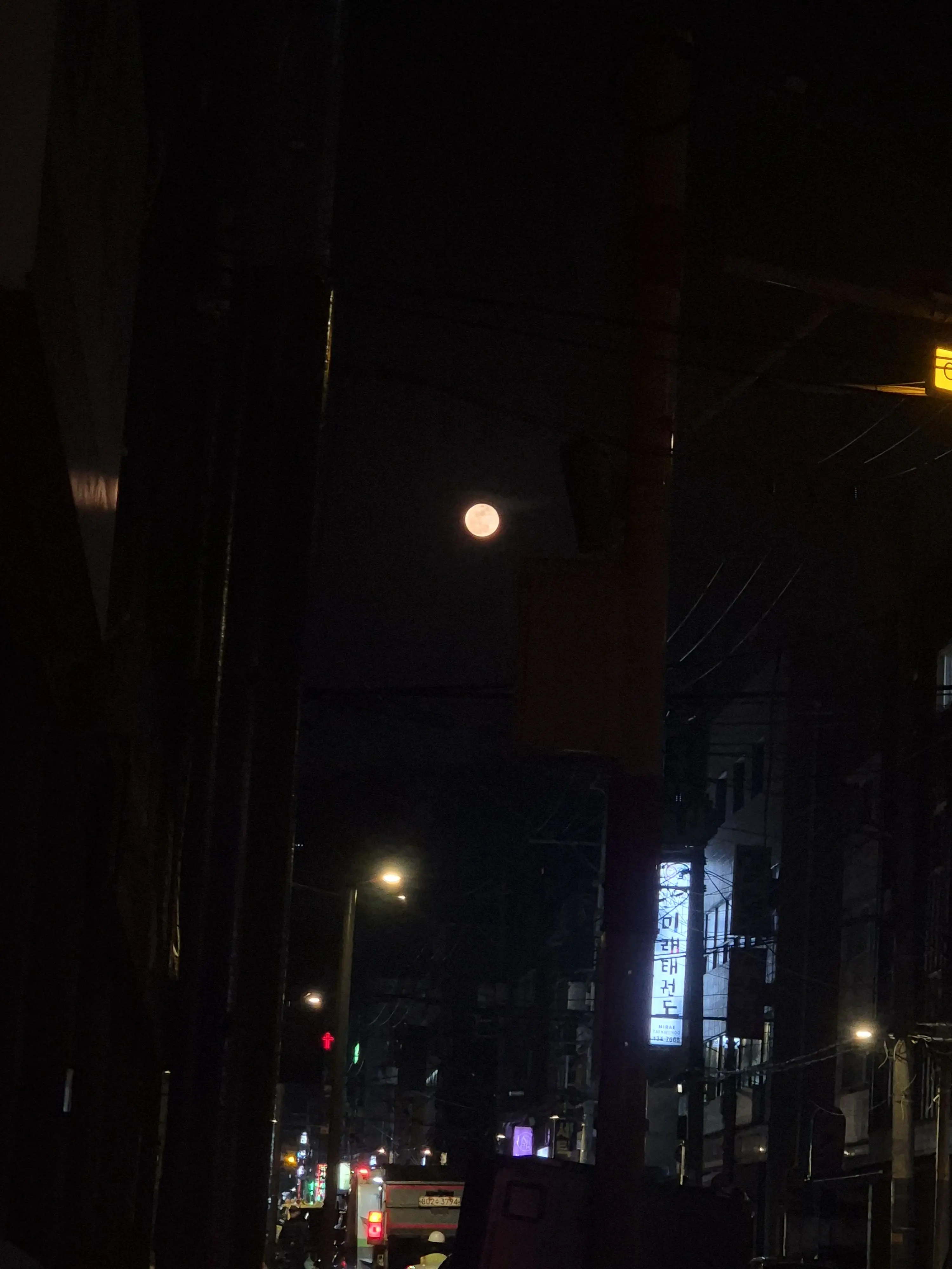 OliveAnise1929의 " 예쁘네 "