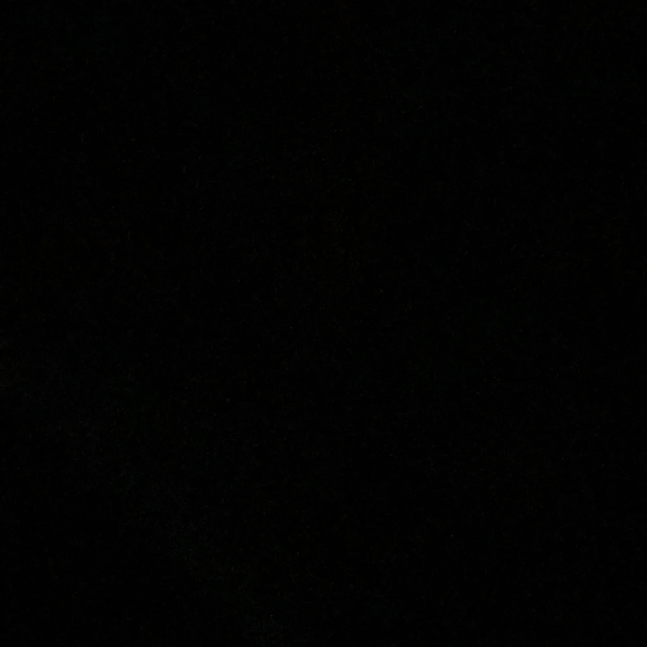 제타야 맞짱뜨자