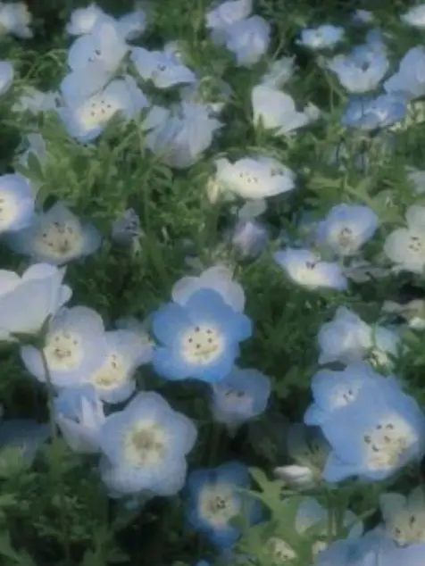 utu_617의 "  優等生の裏の顔  ____  。