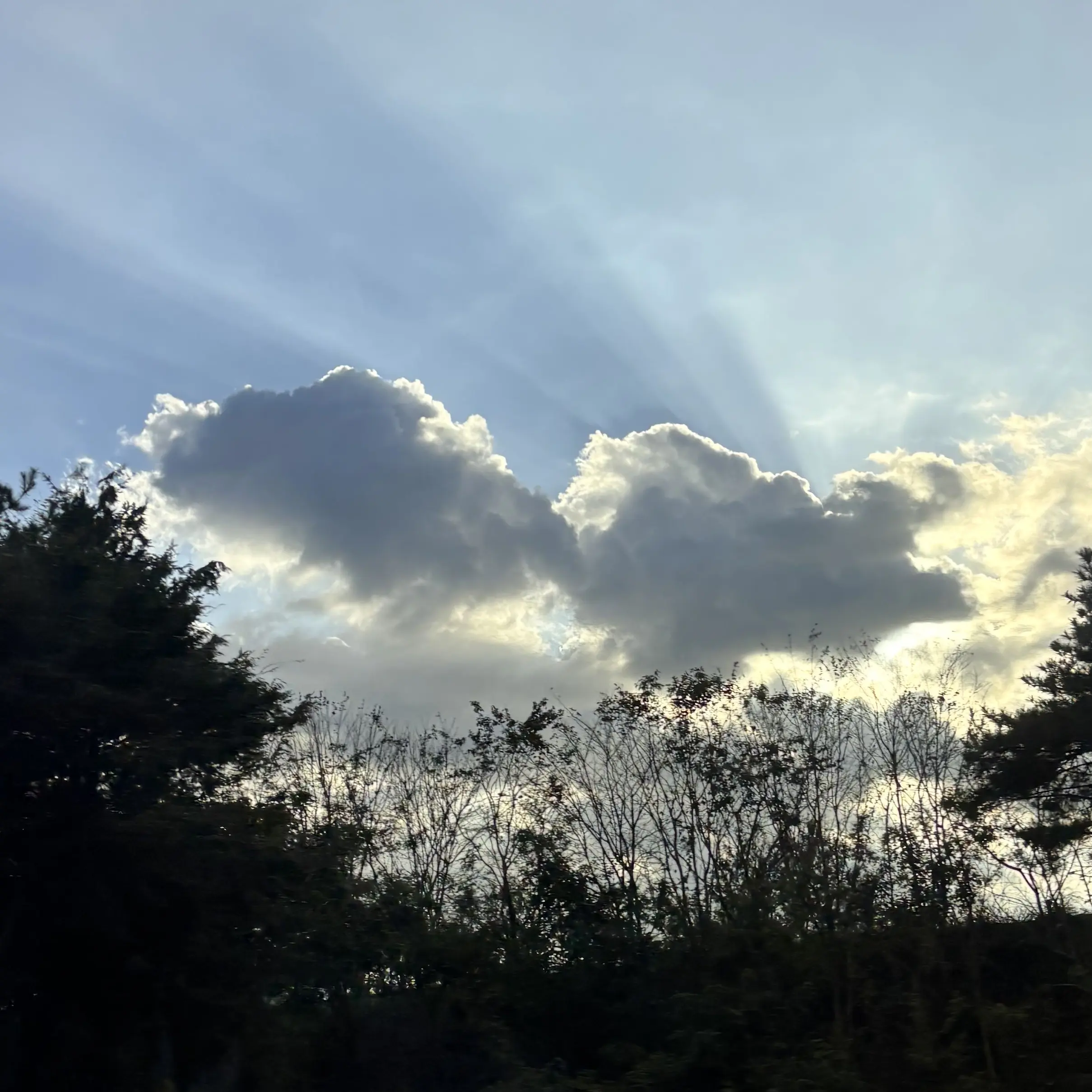 GrayDryer6623의 낙원 楽園