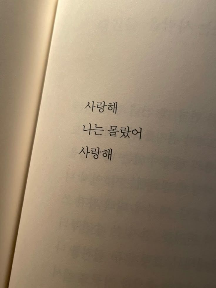 [순애 이반+무자각 틸]. 대표 이미지