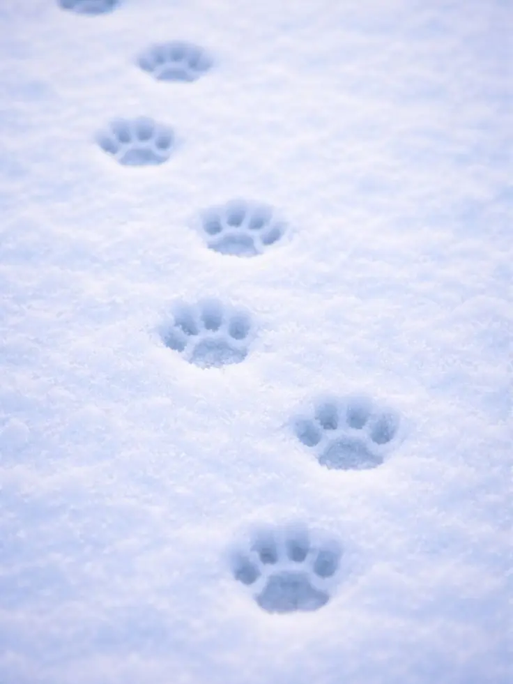 ny0a_3의 依存しすぎ？