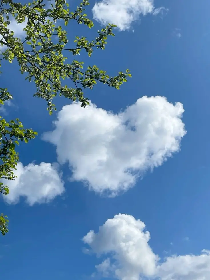 Tiiis2u의 하투하 [gl]