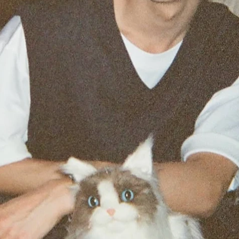김도훈