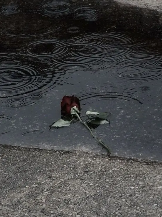 .......s의 🇷 🇪 🇻 🇪 🇷 🇸 🇪