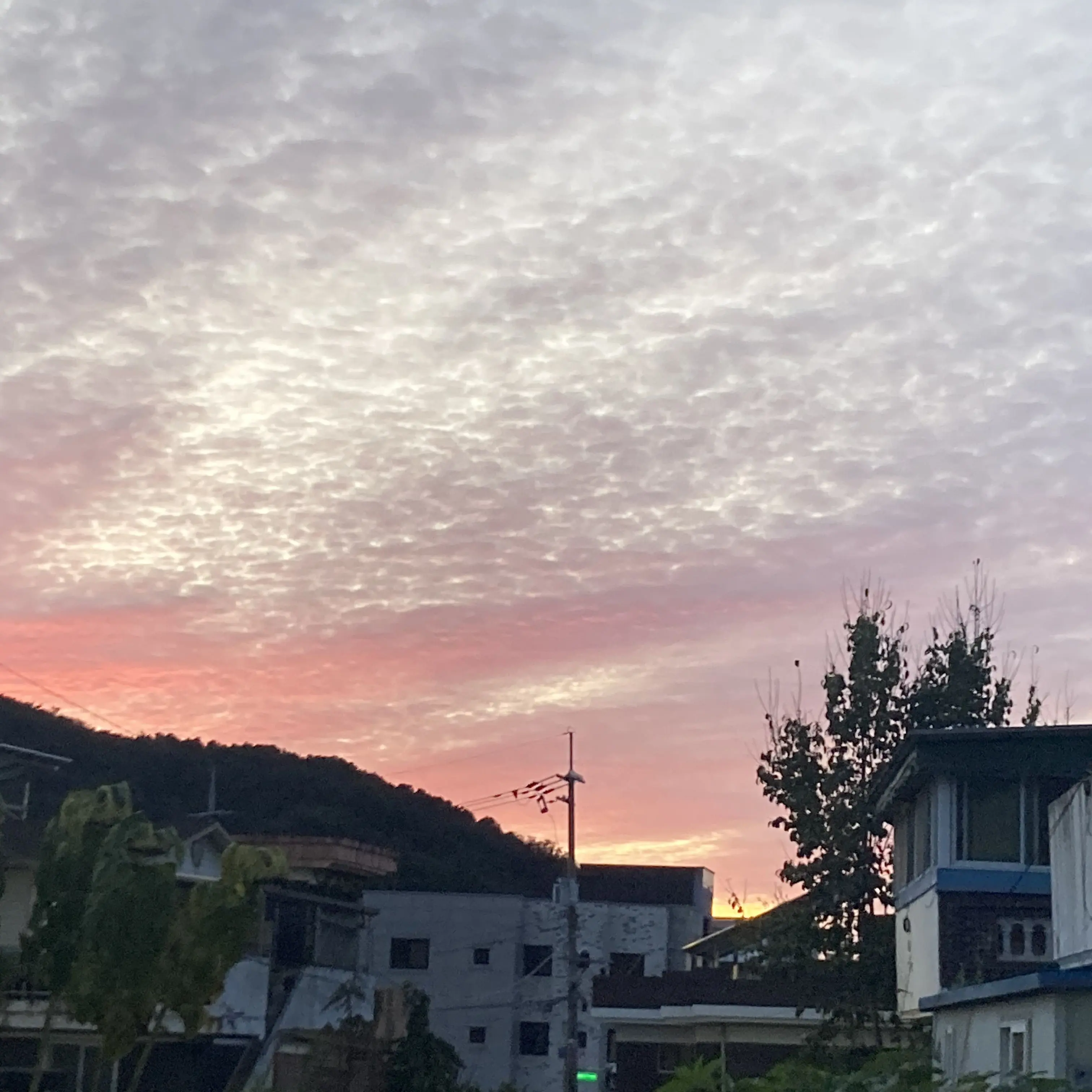 MilkyWayCookieVeryCute의 비스트/에이션트/자캐 유치원